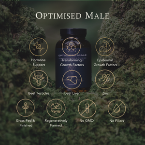 Optimised Male