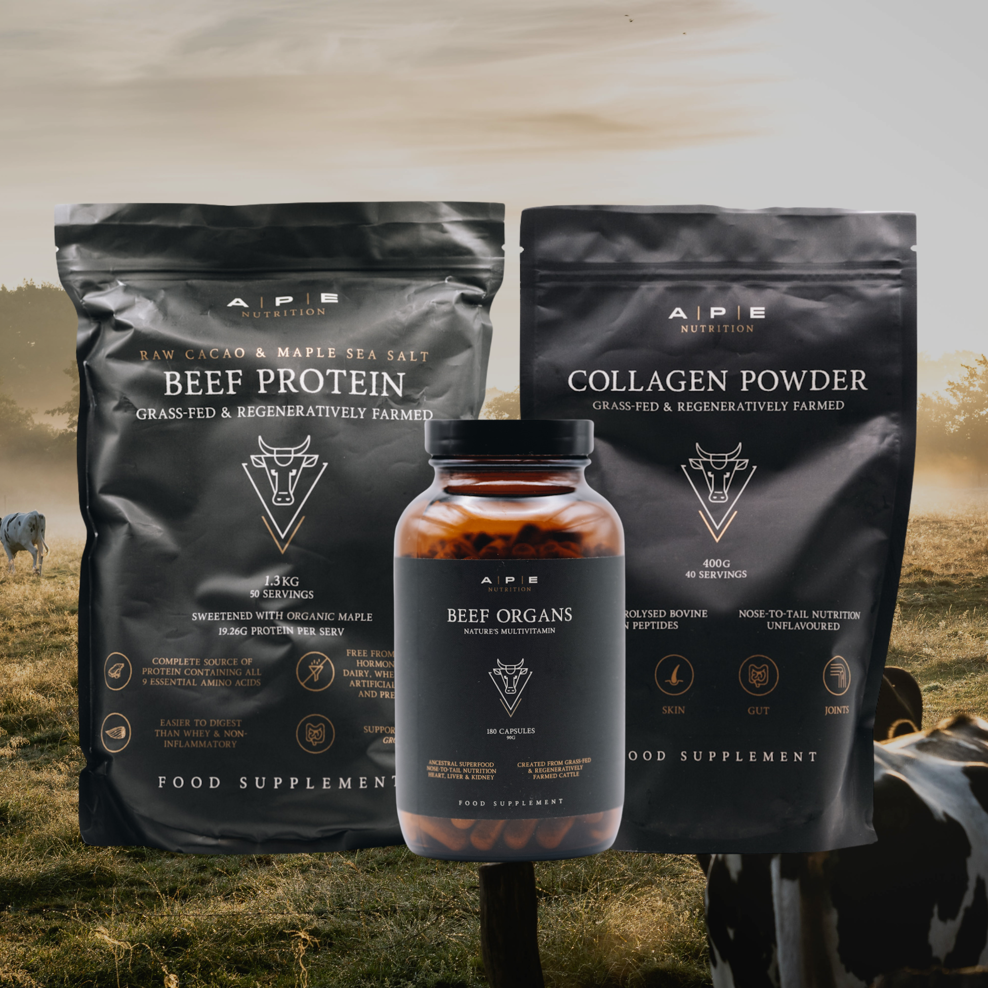 Foundations Bundle | Protein, Collagen & Beef Organs