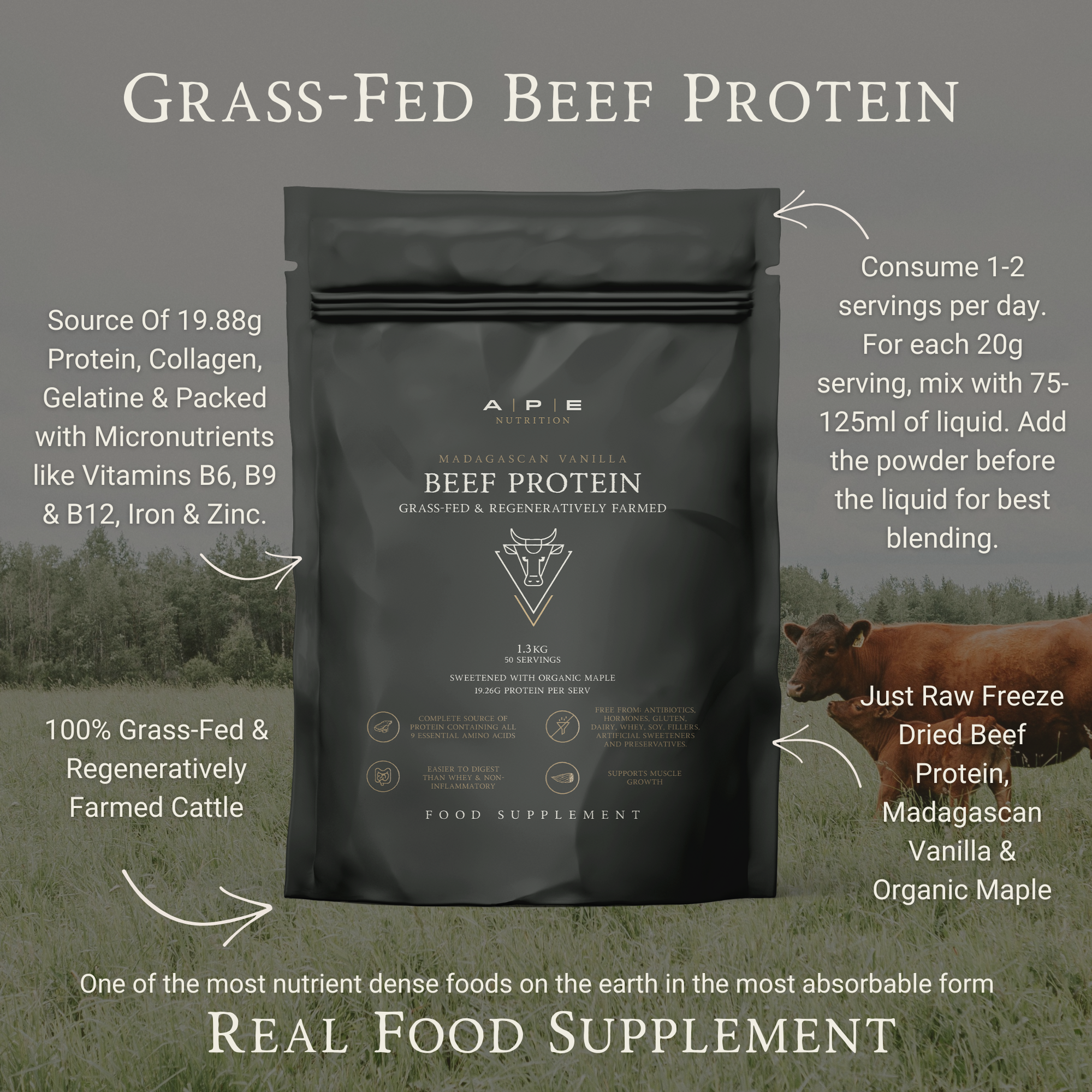 Grass-Fed Beef Protein | Madagascan Vanilla