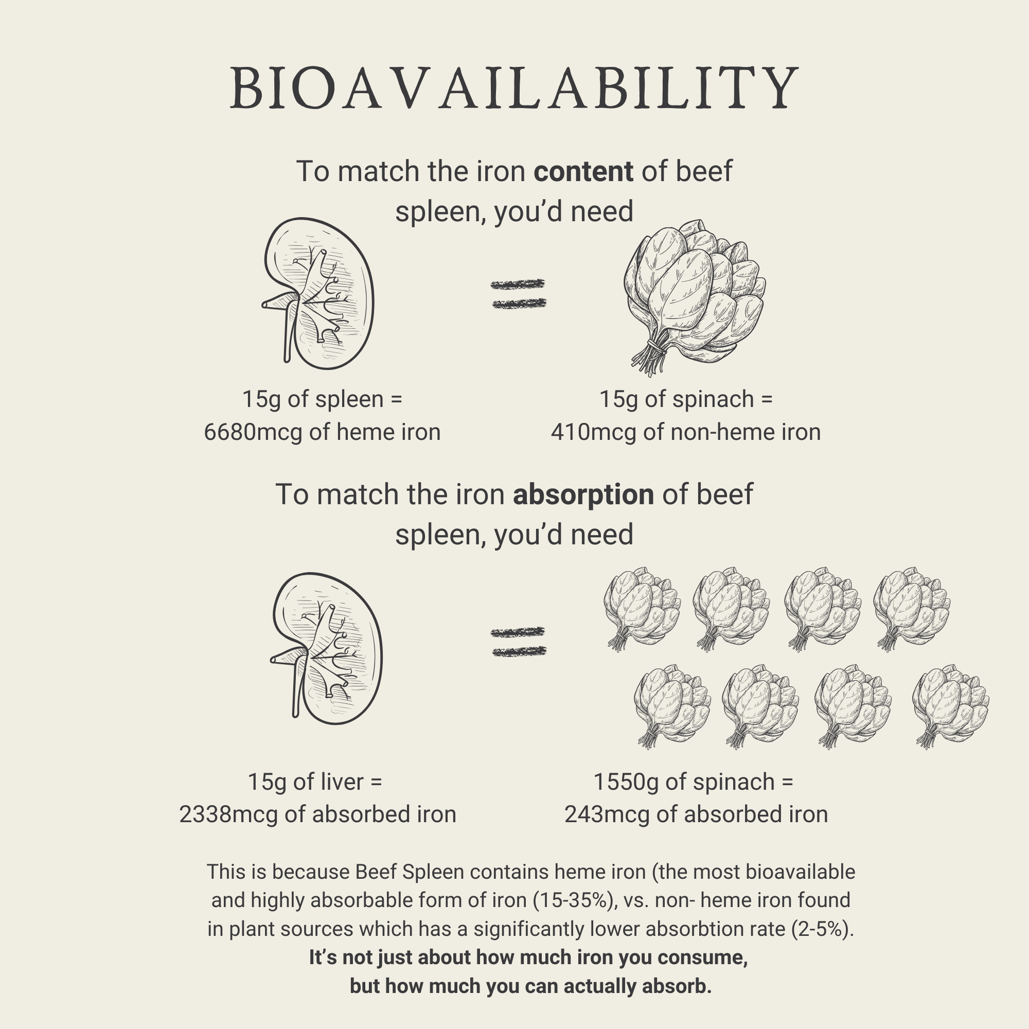 Grass-Fed Beef Spleen | Nature's Iron