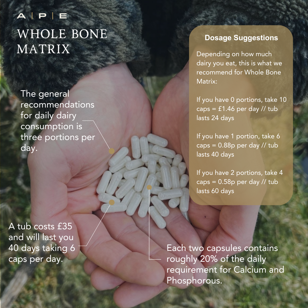 Whole Bone Matrix