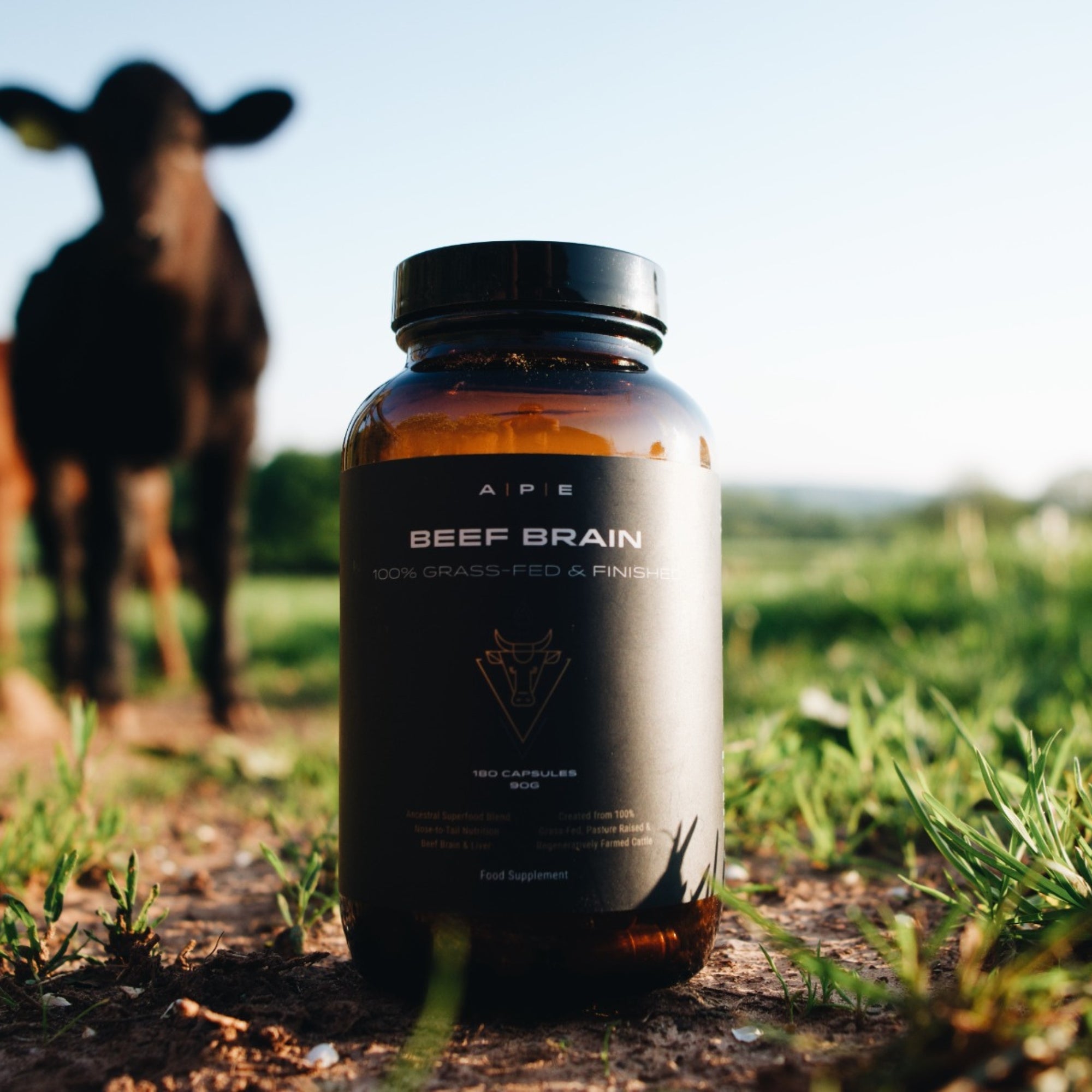 Beef Brain – APE Nutrition Ltd
