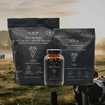 Foundations Bundle | Protein, Collagen & Beef Organs
