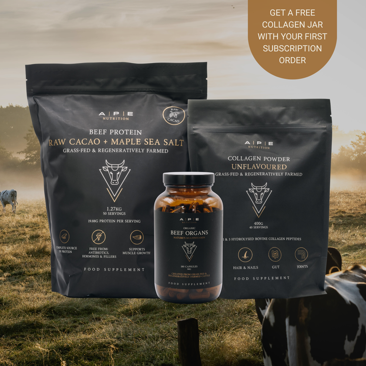 Foundations Bundle | Protein, Collagen & Beef Organs