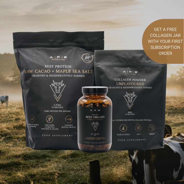 Foundations Bundle | Protein, Collagen & Beef Organs