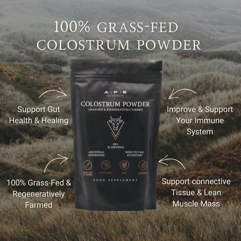 Gut & Digestion Bundle