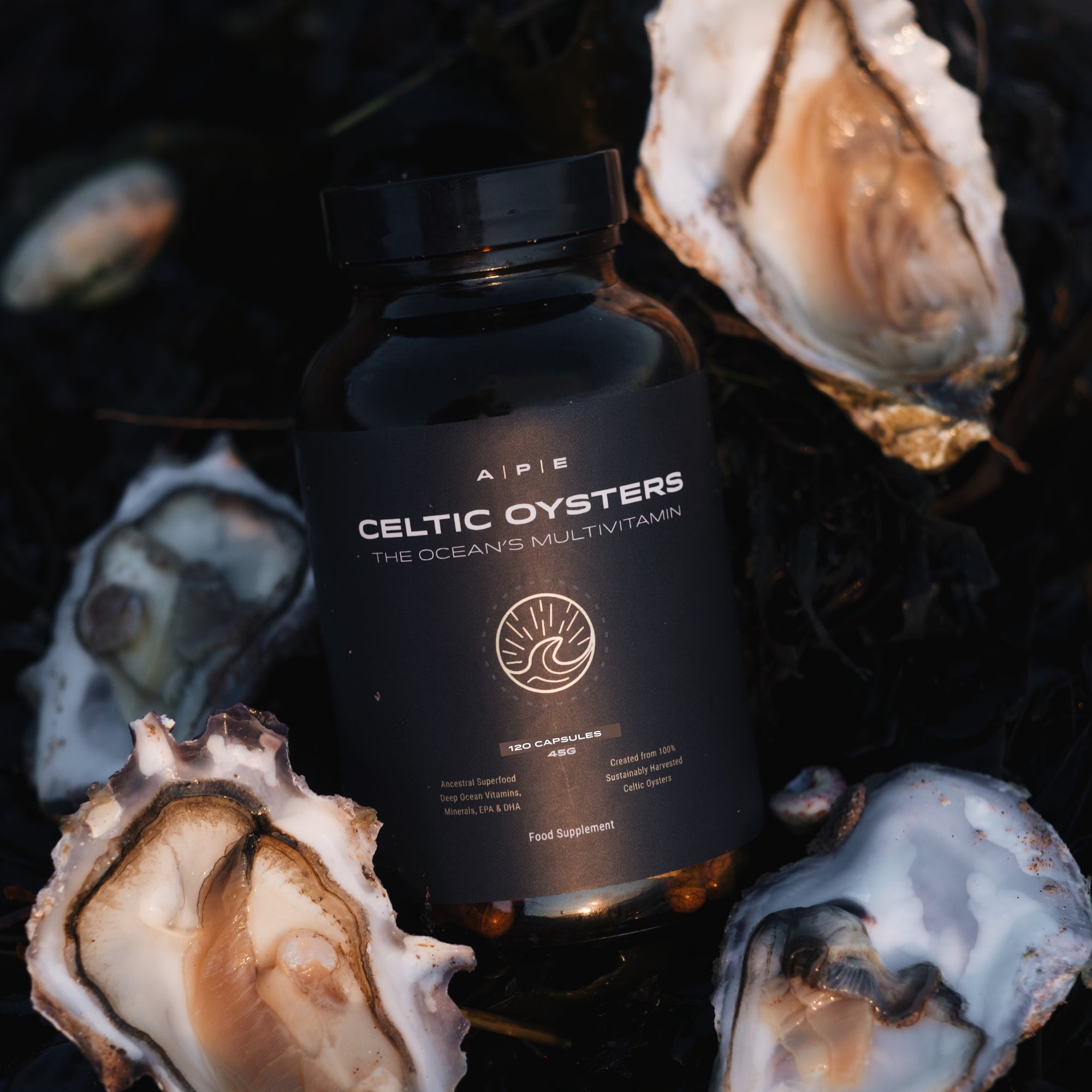 Celtic Oysters