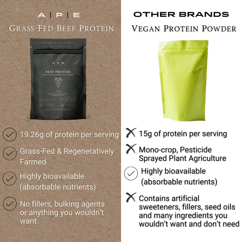 Grass-Fed Beef Protein | Madagascan Vanilla